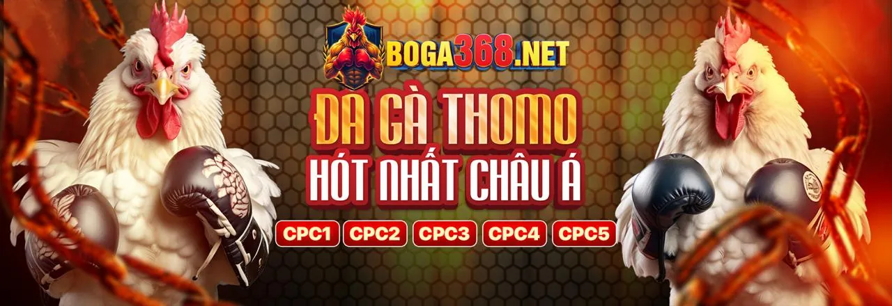 Lợi ích khi cá cược tại 78win80